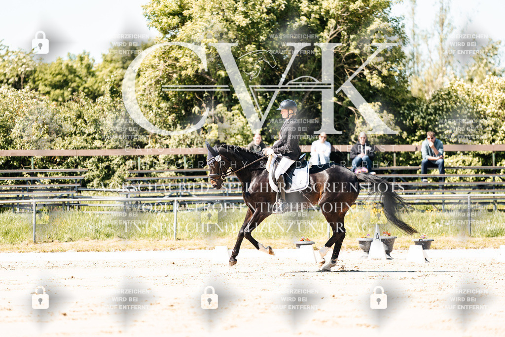 CK905071 | Turnierfotografie Pferdefotografie Trier Rheinland-Pfalz Pferdesport Reitsport Tierfotografie Sportfotografie Pferdevideo Pferdevideografie Equestrianvideography equestrianphotography  - Realisiert mit Pictrs.com