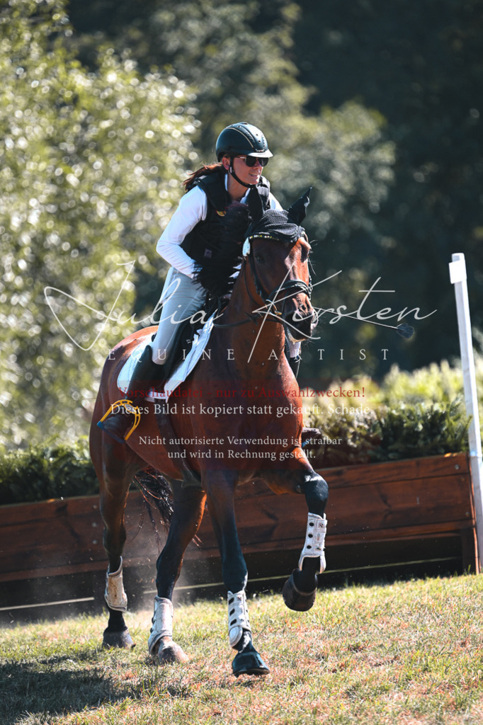 DSC_8306 | Pferde- und Turnierfotografie in Westsachsen. Pferdeportraits, Auftragszeichnungen und intuitive Kunst.