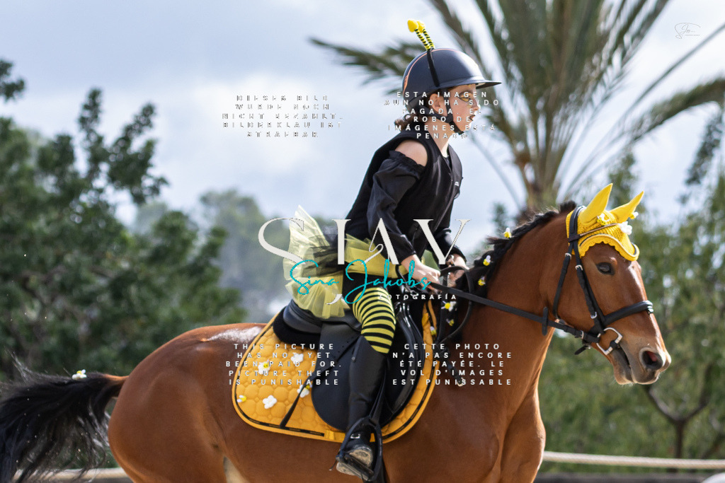 IMG_2195 | s-jay-photography - Realisiert mit Pictrs.com