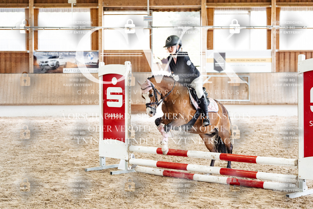 CK902806 | Turnierfotografie Pferdefotografie Trier Rheinland-Pfalz Pferdesport Reitsport Tierfotografie Sportfotografie Pferdevideo Pferdevideografie Equestrianvideography equestrianphotography  - Realisiert mit Pictrs.com