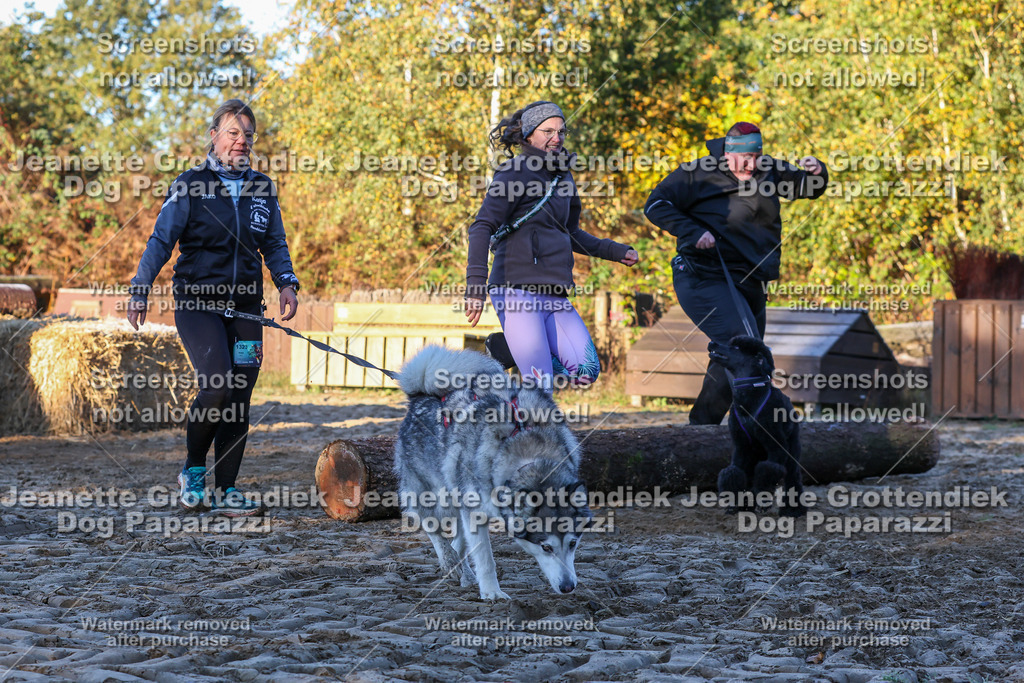 Dog Paparazzi - Strongdog 10-25-758 | Dog Paparazzi Jeanette Grottendiek Fotografie & Videografie - Realisiert mit Pictrs.com