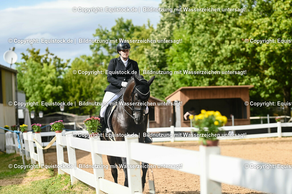 20230716_01_Dressurprüfung Kl.M_0578 | equistock