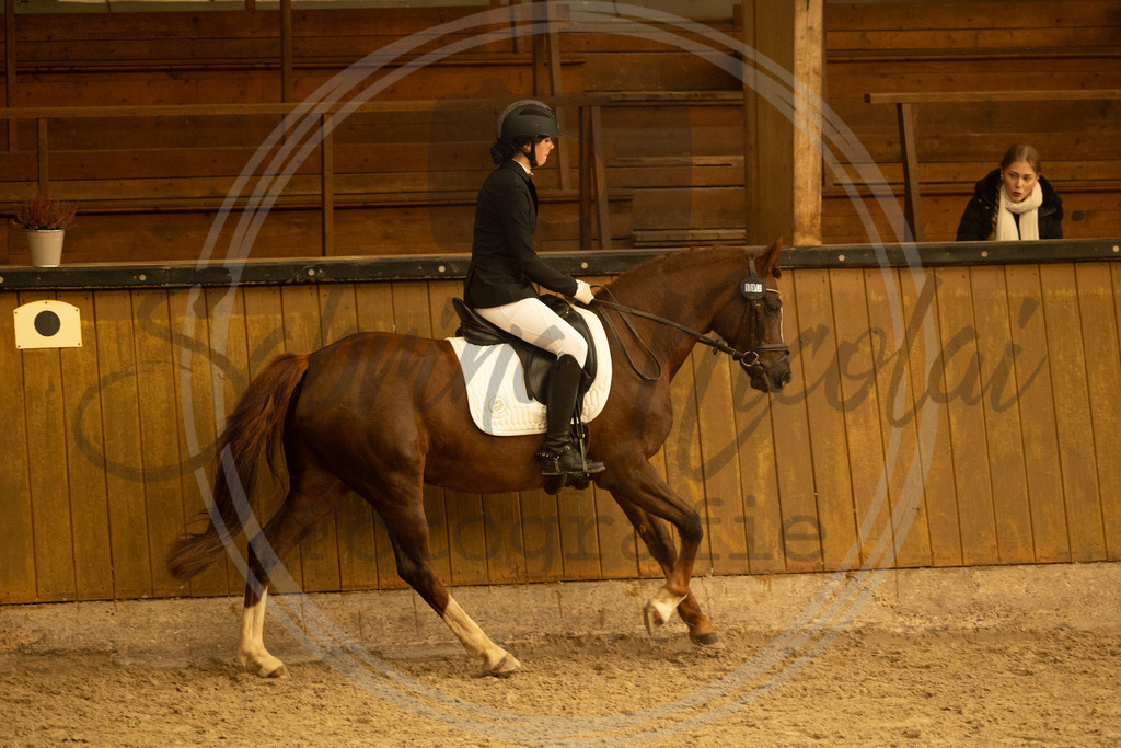 994A3788 | sabrinanicolaifotografie - Realisiert mit Pictrs.com