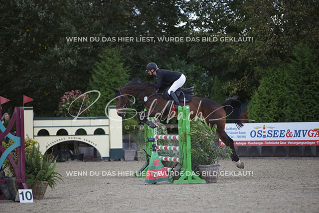 1J2A5225Britta Braunert_ Congettano Blue PS_ Kn267_ Havekost | Foto- und Videografie für alles rund ums Pferd. Hochwertige Bilder und Videos vom Spring- und Dressurreiten, Voltigieren & mehr. Jetzt aktuelle Veranstaltungen und Preise im Shop ansehen. - Realisiert mit Pictrs.com