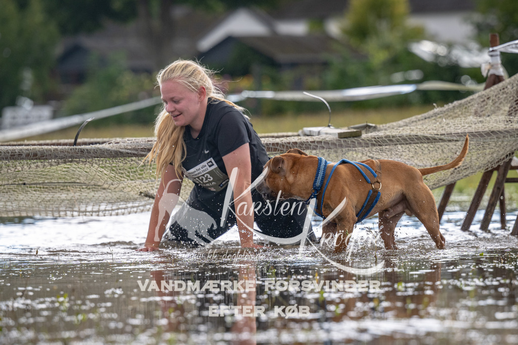 1355_ZZ90478 | kk-dogfotos