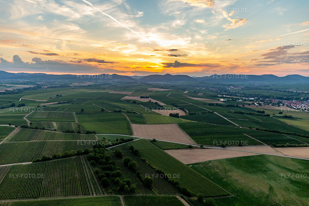 Luftbild: Sonnenuntergang am Haardtrand im Ortsteil Ingenheim in Billigheim-Ingenheim im Bundesland Rheinland-Pfalz in Deutschland. Foto: IMG_122341.jpg vom 15.08.2020 durch Werner Riehm/FLY-FOTO.de
