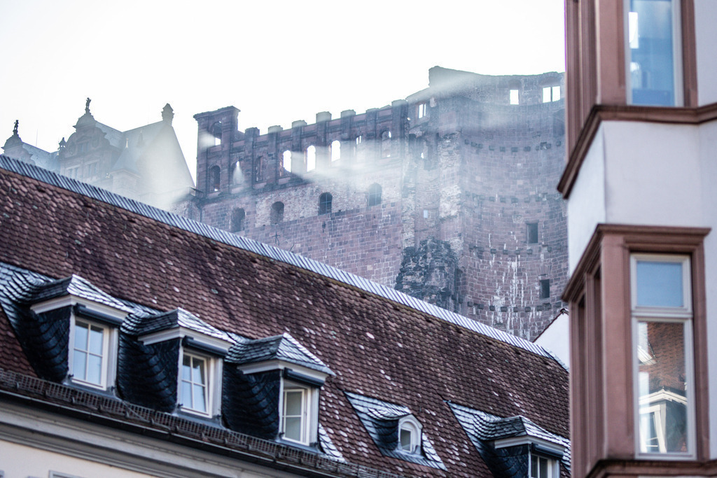 IMG_1990 | ehrlichefotos - Realisiert mit Pictrs.com