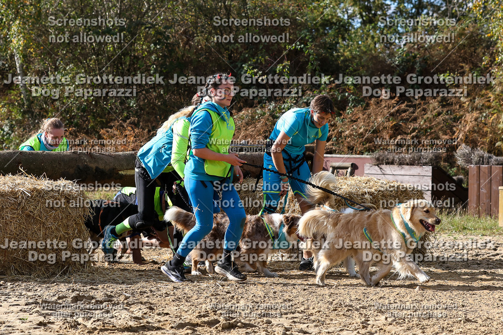 Dog Paparazzi - Strongdog 10-25-5602 | Dog Paparazzi Jeanette Grottendiek Fotografie & Videografie - Realisiert mit Pictrs.com