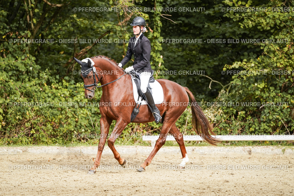 DSC00417 | Pferdegrafie