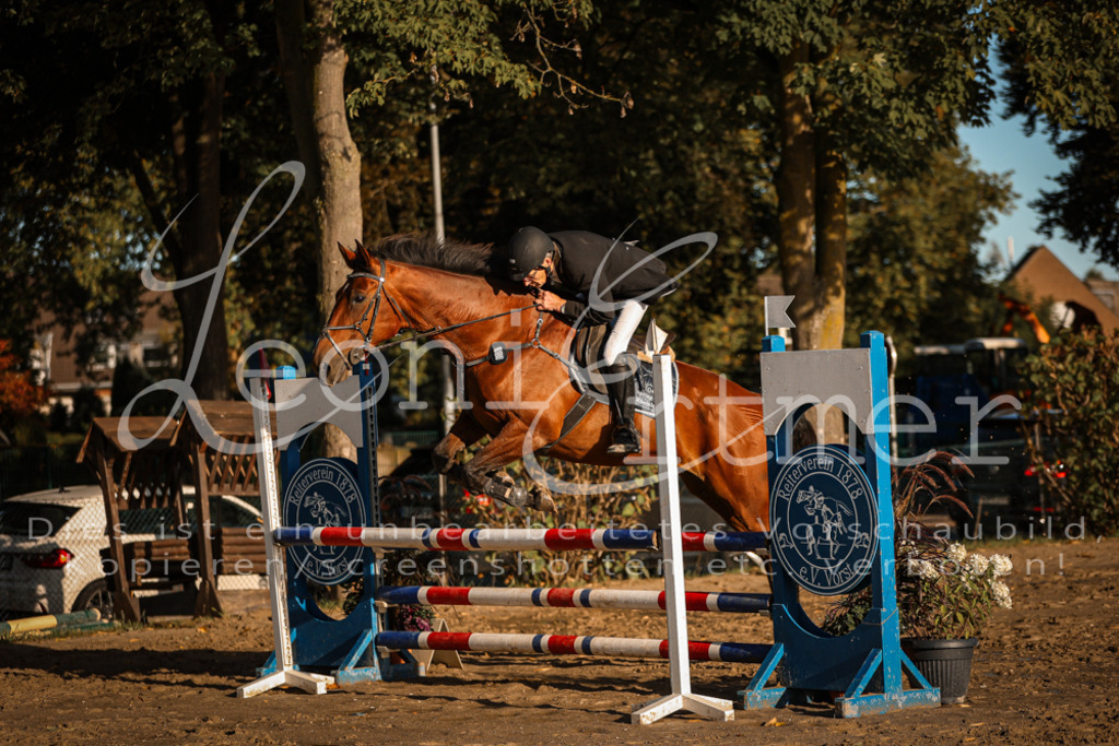 18.SoSpA100037 | Leoni Ertmer Photography - Realisiert mit Pictrs.com