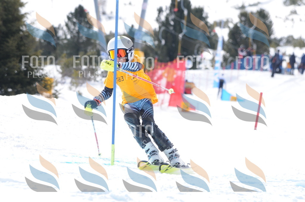 C7696 | holidayphoto