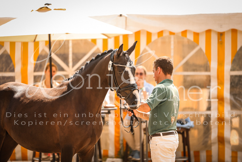 11.So00077 | Leoni Ertmer Photography - Realisiert mit Pictrs.com