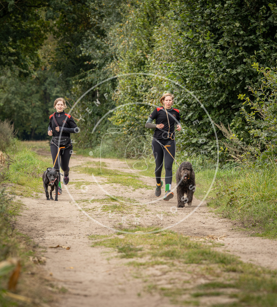 Pfotenfotografie_DV3A7310 | Hundefotografie, Tierfotograf, Pfotenfotografie, Fotoshooting Hund, Hunde Portrait, Hundesport, Hundeportraits, Heideshooting, Hunde, Sportfotograf, Hundefotograf, Turnierhundsport, THS,  - Realisiert mit Pictrs.com