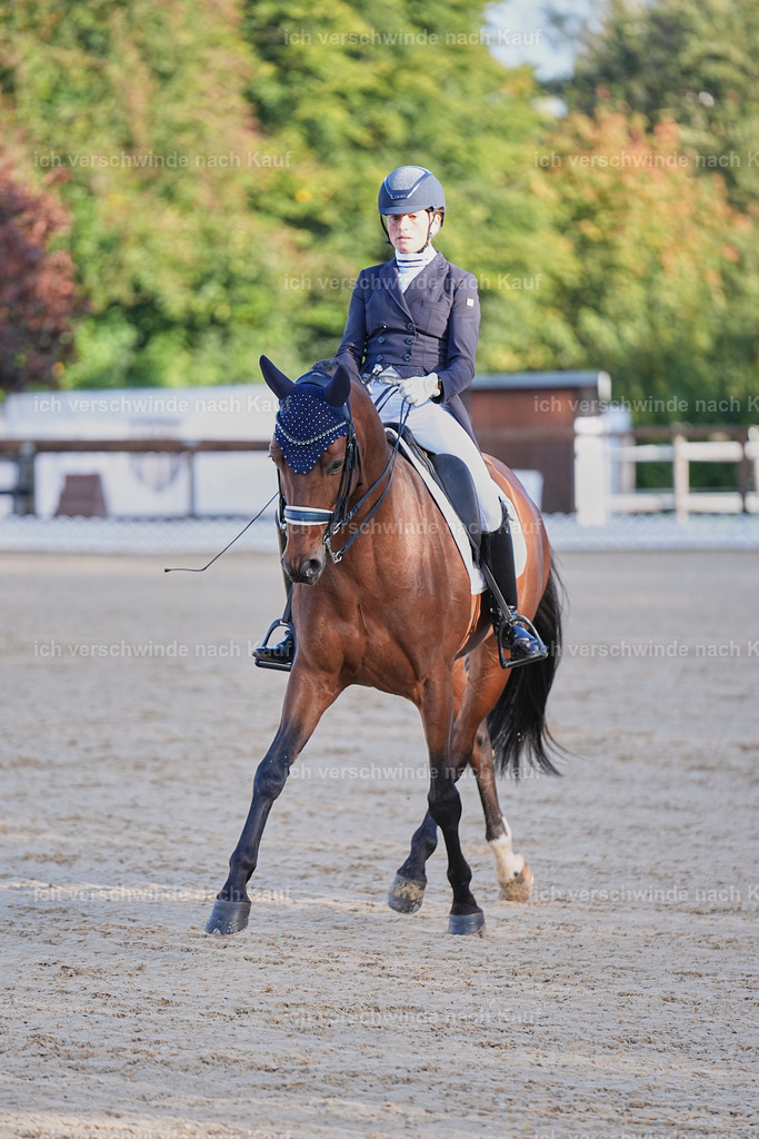 09_1-082-DRESSUR  S_  -Marixx-5648 | working equitationturnier fotograf videograf stoibphotography marixx film working equitation deutschland reitsport turnierfotografie eventfotografie equestrian events