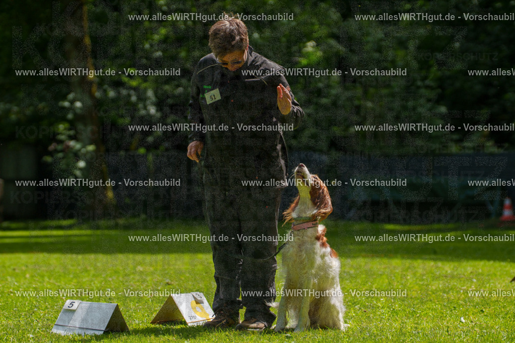 @allesWIRTHgut_Tierfotografie - www.allesWIRTHgut.de - 7R505760 | Professionelle Tierfotografie in Mönchengladbach von Daniel Wirth (allesWIRTHgut). Liebevolle & natürliche Bilder von Hunden & Katzen für unvergessliche Erinnerungen.
