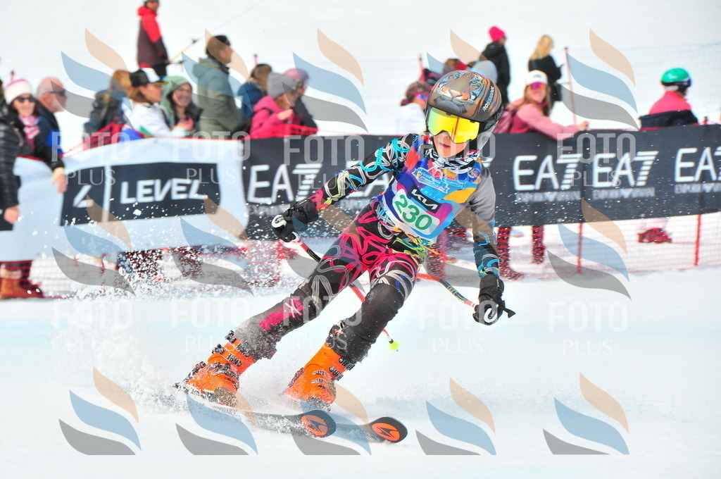 DSC_2135 | holidayphoto