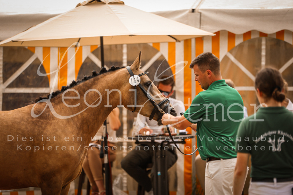 10.So00015 | Leoni Ertmer Photography - Realisiert mit Pictrs.com