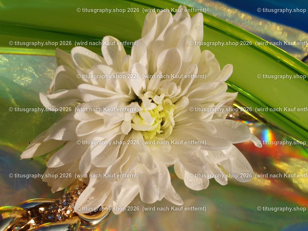 titusgraphy_P7229681-vz-ln | titusgraphy-shop: Geschenkideen mit Qualitätsfotos. titusgraphy-shop: gift ideas with quality photos. titusgraphy-shop: idées cadeaux avec photos de qualité.  - Realisiert mit Pictrs.com