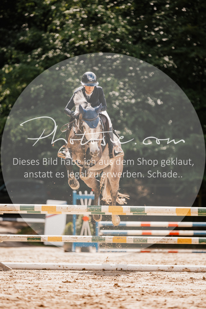3I6A2368 | Stimmungsvolle Portraits und Reitsportfotografie im Ruhrgebiet und im Münsterland.

Pferdefotografie, Hundefotografie, Tierfotografie, Reportagen, Portraits von Tier und Mensch, Turnierfotografie in Bochum, Recklinghausen, Marl, Haltern am See, Dülmen.. - Realisiert mit Pictrs.com