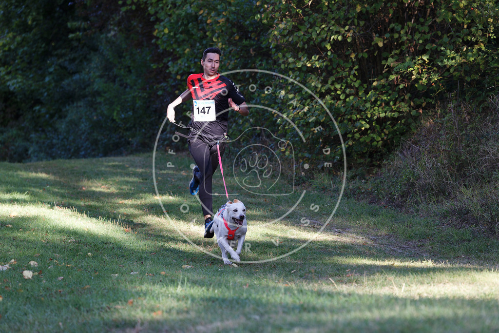0L8A4933 | Hundefotografie, Tierfotograf, Pfotenfotografie, Fotoshooting Hund, Hunde Portrait, Hundesport, Hundeportraits, Heideshooting, Hunde, Sportfotograf, Hundefotograf, Turnierhundsport, THS,  - Realisiert mit Pictrs.com