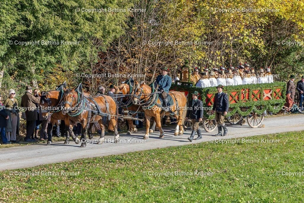 LBT25-769 | foto-bettina-krinner - Realisiert mit Pictrs.com