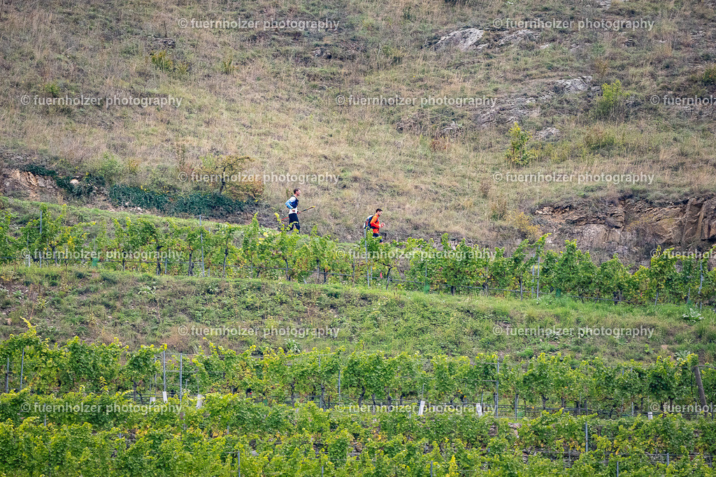 fuernholzer_251004-C2-98 | © Christian Fuernholzer | fuernholzer photography