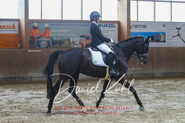 DKP44792 | Deine Turnierfotos vom Reitturnier online kaufen: Dressur, Springen & Siegerehrung. Professionelle Pferdefotografie aus dem Rheinland – als Download & Print.Alternative: Turnierfotograf für den Pferdesport: Finde deine Fotos von Dressur- und Springturnier