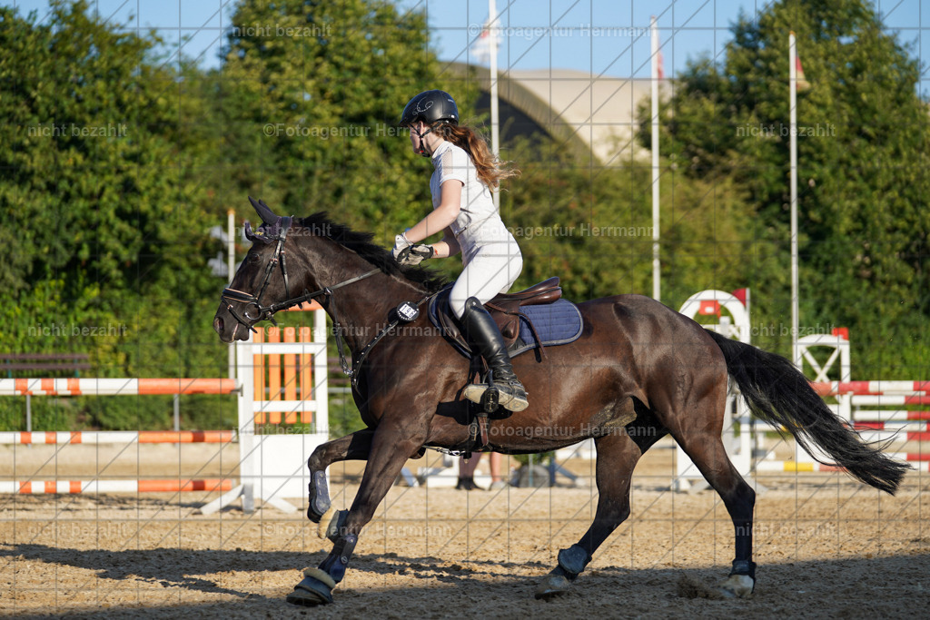 20240824-FAH08800 | Thierhaupten 2024, Bayerisches Landesponyturnier, Turnierbilder, Ponybilder, Turnierfotografen Bayern, Fotoagentur Herrmann