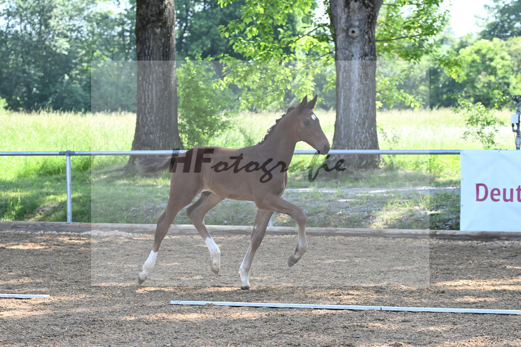 Kat-Nr. 4 HF Vitalos_Schwarz_14230120 | hf-fotografie - Realisiert mit Pictrs.com