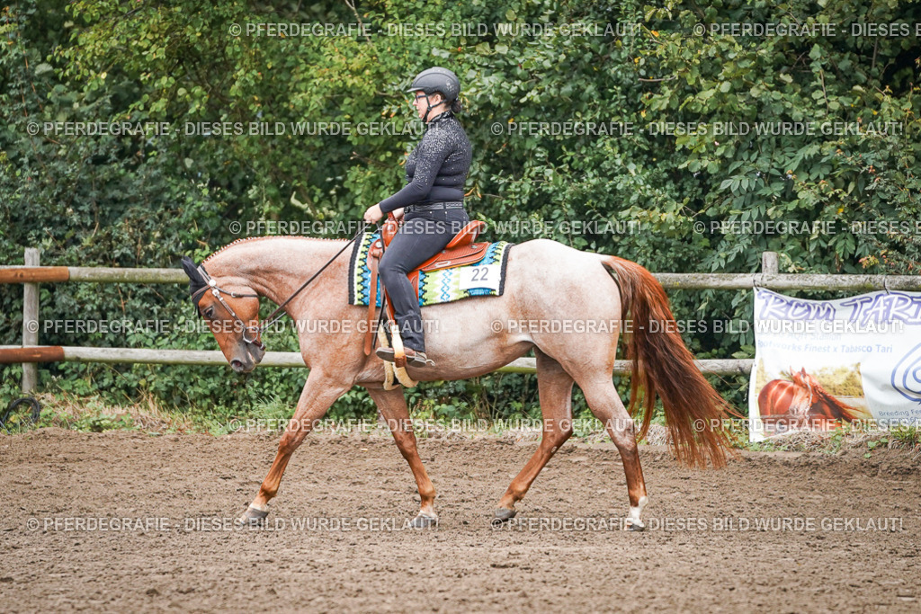 DSC01736 | Pferdegrafie