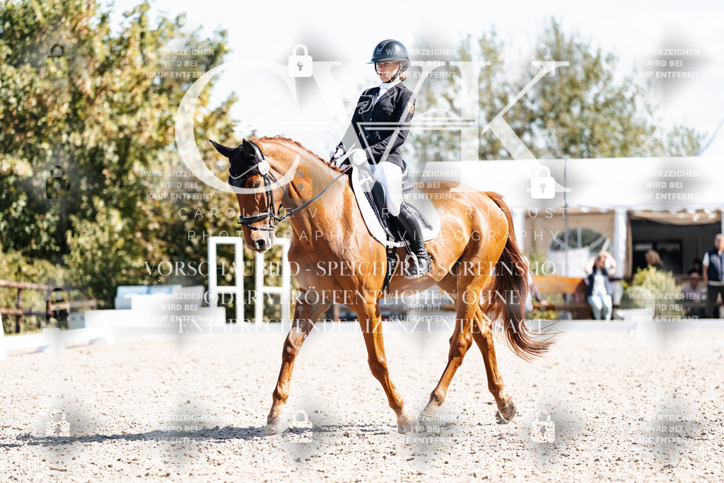 CK902818 | Turnierfotografie Pferdefotografie Trier Rheinland-Pfalz Pferdesport Reitsport Tierfotografie Sportfotografie Pferdevideo Pferdevideografie Equestrianvideography equestrianphotography  - Realisiert mit Pictrs.com