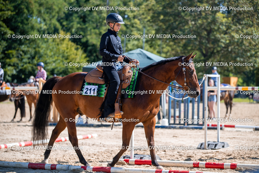 ZS1_0916 | dv-media-shop - Realisiert mit Pictrs.com