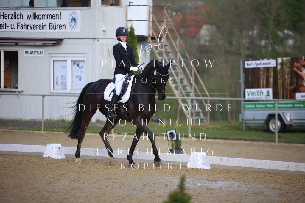 IMGT8829 | pl-fotografie