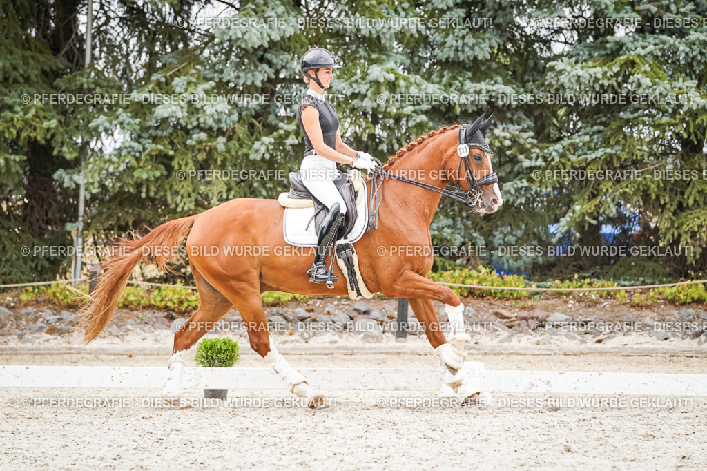 DSC08111 | Pferdegrafie