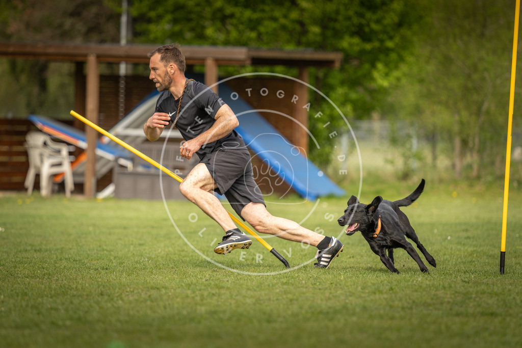 Pfotenfotografie_DV3A5513 | Hundefotografie, Tierfotograf, Pfotenfotografie, Fotoshooting Hund, Hunde Portrait, Hundesport, Hundeportraits, Heideshooting, Hunde, Sportfotograf, Hundefotograf, Turnierhundsport, THS,  - Realisiert mit Pictrs.com