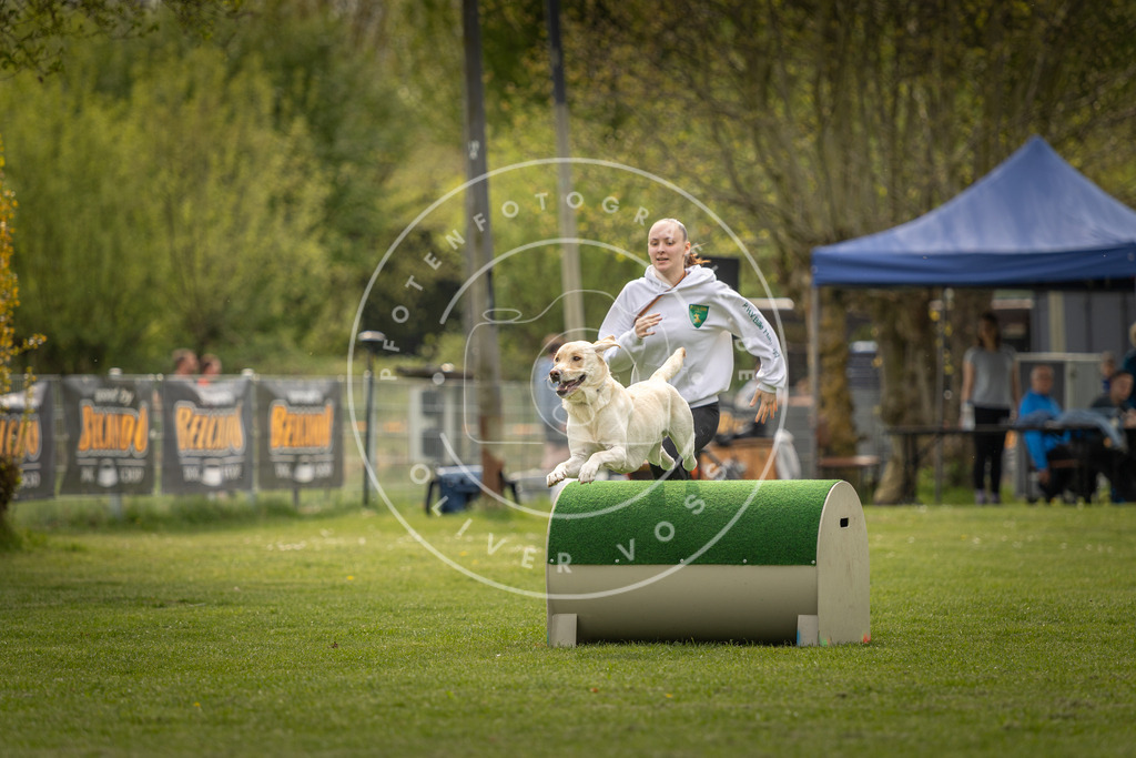 Pfotenfotografie_DV3A6563 | Hundefotografie, Tierfotograf, Pfotenfotografie, Fotoshooting Hund, Hunde Portrait, Hundesport, Hundeportraits, Heideshooting, Hunde, Sportfotograf, Hundefotograf, Turnierhundsport, THS,  - Realisiert mit Pictrs.com