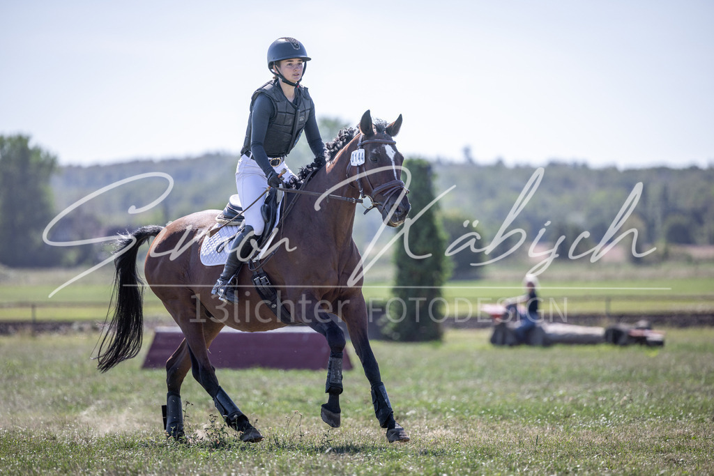 20260906-_3LI3592 | Tierfotografie Pferde, Hunde, Katzen, Haustiere.
Turnierfotografie Reitturniere, Reiten, Springreiten, Dressur in Hanau, dem Main-Kinzig-Kreis und dem Rhein-Main- Gebiet um Frankfurt