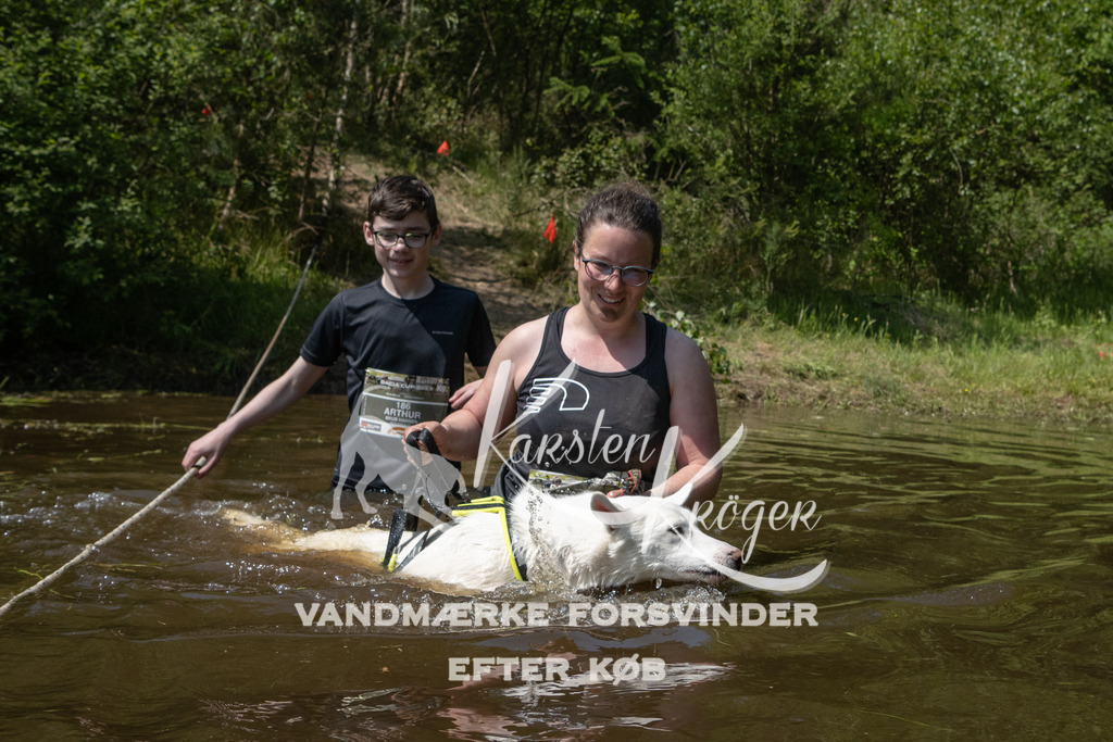 1412DKK990063 | kk-dogfotos