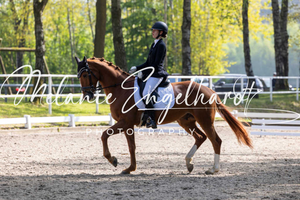 7I8A1533 | melanie-engelhardt-photography - Realisiert mit Pictrs.com