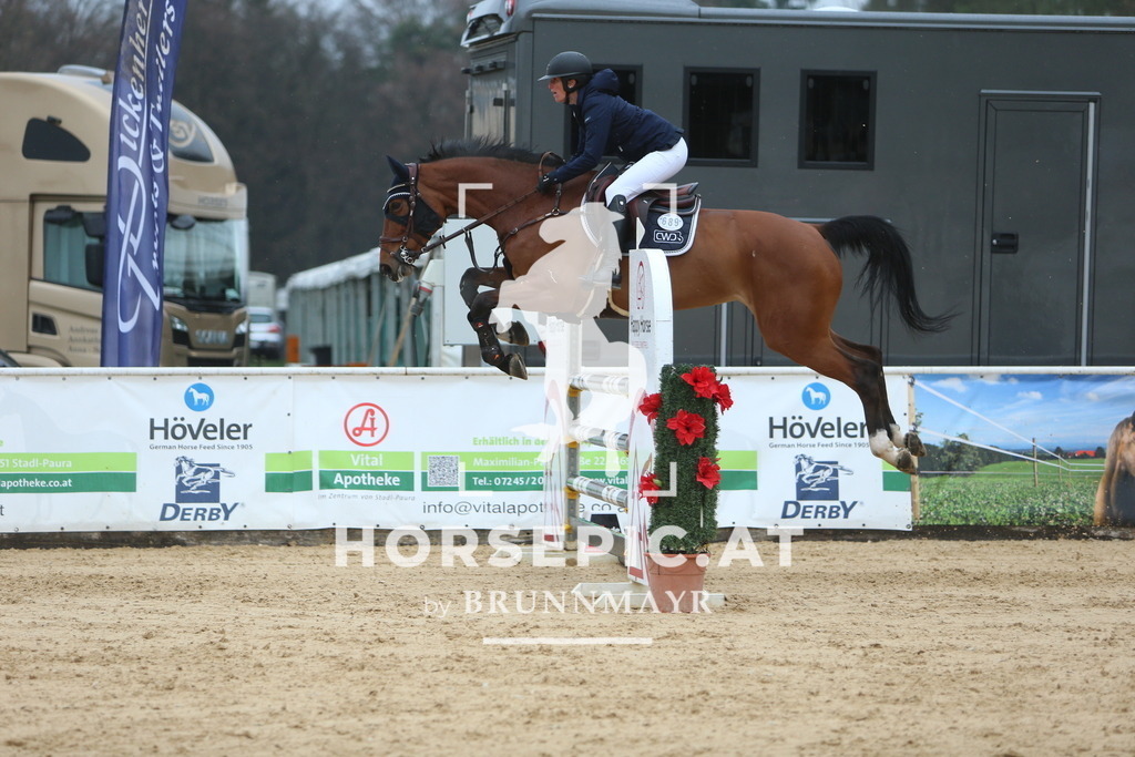 DL2Q6985 | Willkommen bei Brunnmayr - Design & Fotografie – Ihrem Spezialisten für Reitturniere und Pferdeveranstaltungen in Oberösterreich, Salzburg und Bayern! Seit über 17 Jahren sind wir leidenschaftlich dabei.