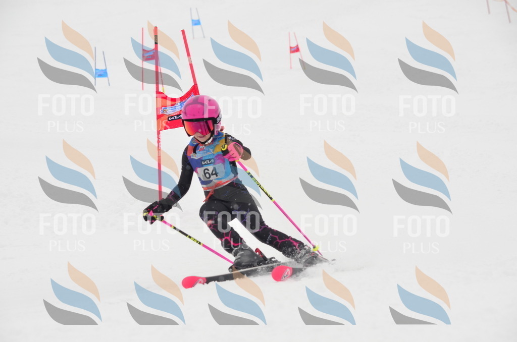 C1101 | holidayphoto