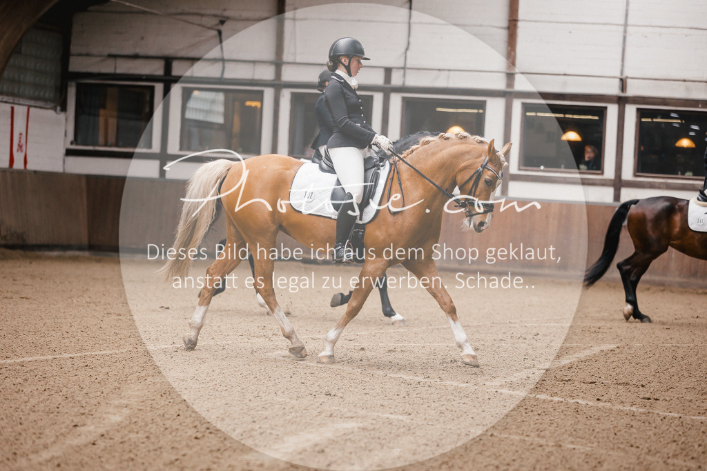 3I6A7061 | Stimmungsvolle Portraits und Reitsportfotografie im Ruhrgebiet und im Münsterland.

Pferdefotografie, Hundefotografie, Tierfotografie, Reportagen, Portraits von Tier und Mensch, Turnierfotografie in Bochum, Recklinghausen, Marl, Haltern am See, Dülmen.. - Realisiert mit Pictrs.com