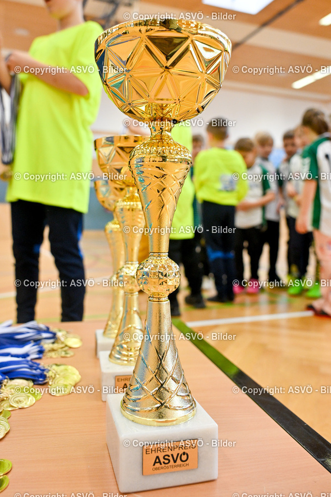 ASVÖ_ Fussballturnier SV Gallneukirchen_ 08.02.2025-125 | 08.02.2025, Gallneukirchen, AUT, ASVÖ, Fussball Nachwuchs Hallenturnier 2025, SV Gallneukirchen im Bild Teilnehmer U 7©Harald Dostal / fodo.media - Realisiert mit Pictrs.com