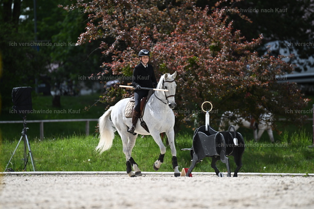 PI26_ST_Sara_Landvogt226_2335.JPG | working equitationturnier fotograf videograf stoibphotography marixx film working equitation deutschland reitsport turnierfotografie eventfotografie equestrian events