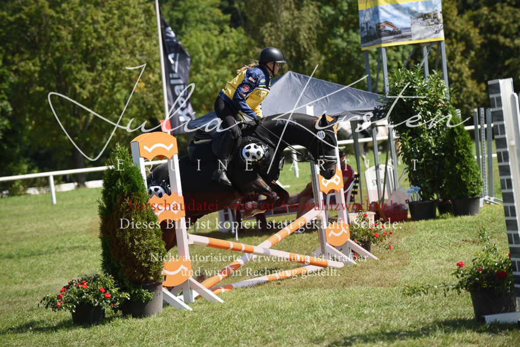 DSC_0398 | Pferde- und Turnierfotografie in Westsachsen. Pferdeportraits, Auftragszeichnungen und intuitive Kunst.