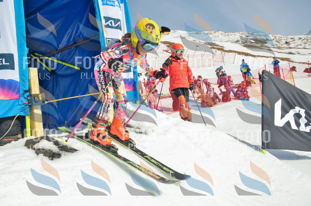 _ELE4707 | holidayphoto