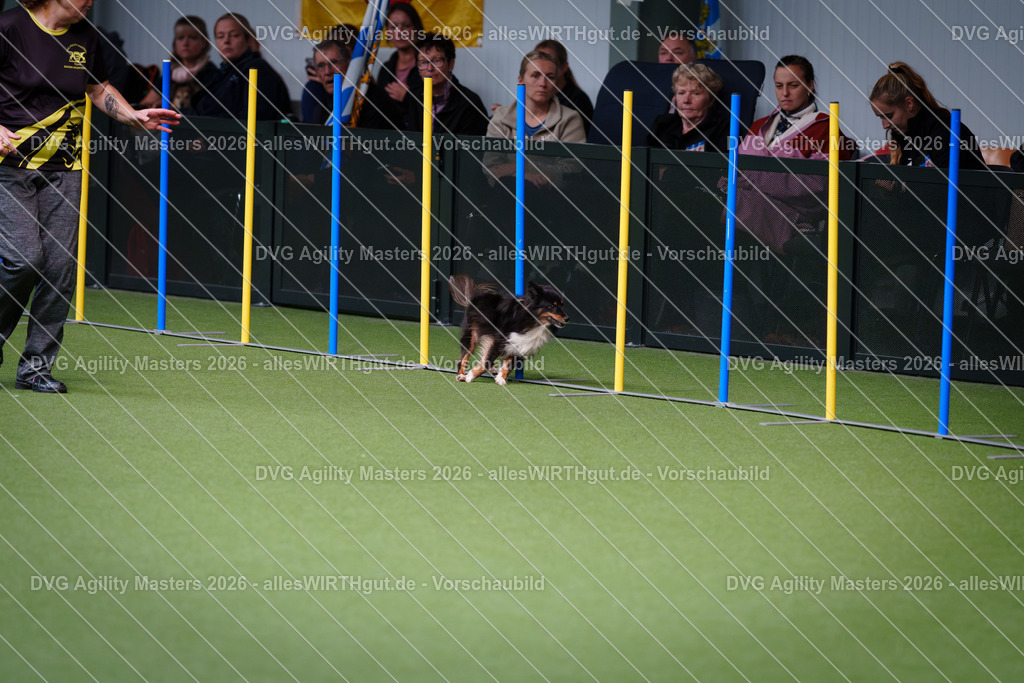 allesWIRTHgut_Tierfotografie-DVG_Agility_Masters_2026-12_06-7R507300 | Professionelle Tierfotografie in Mönchengladbach von Daniel Wirth (allesWIRTHgut). Liebevolle & natürliche Bilder von Hunden & Katzen für unvergessliche Erinnerungen.