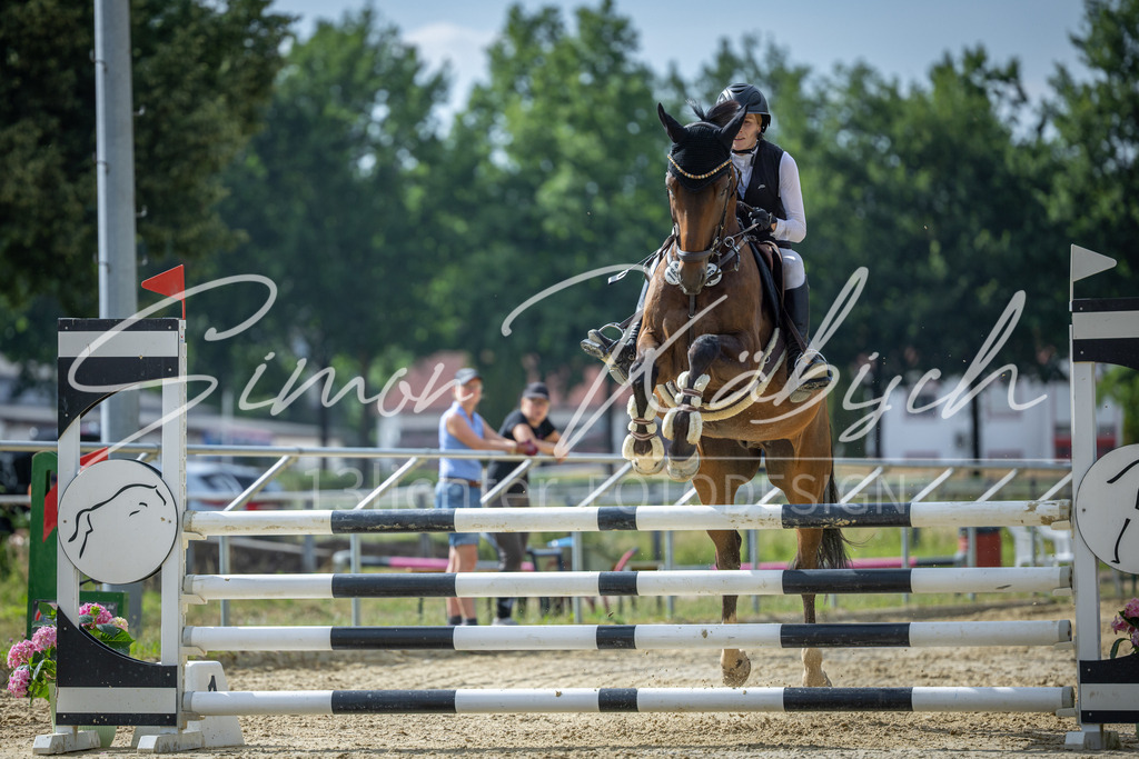 20260704-_3LI1788 | Tierfotografie Pferde, Hunde, Katzen, Haustiere.
Turnierfotografie Reitturniere, Reiten, Springreiten, Dressur in Hanau, dem Main-Kinzig-Kreis und dem Rhein-Main- Gebiet um Frankfurt