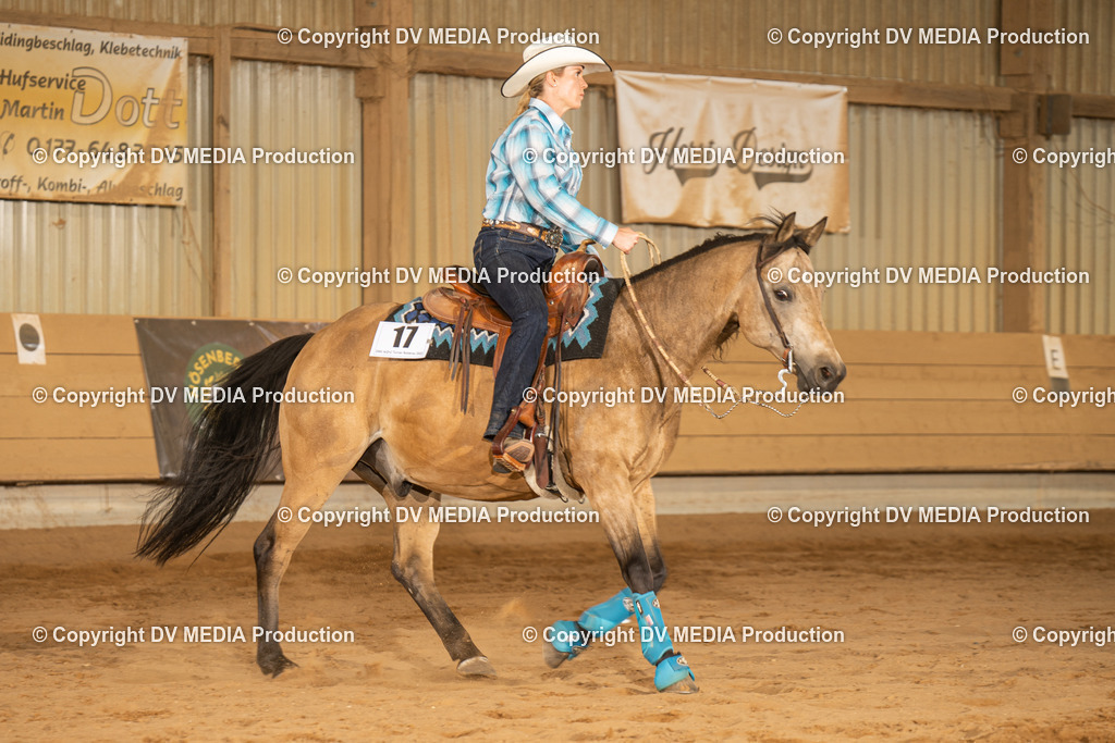 NID03784 | dv-media-shop - Realisiert mit Pictrs.com