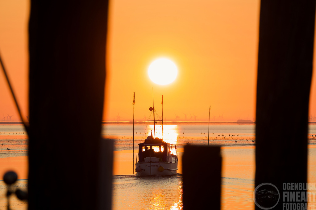 _A7R2875 | Björn Thiemann; Ogenblick.de; Fotografie; Photograph; Landscape, Pellworm, Schleswig-Holstein; Inselfotograf; Inselfotografien; Wattenmeer; National-Park; Naturschutzgebiet; Leuchtturm; Lighthouse; Leinwandbilder; Kalender; Pellworm Kalender;  - Realisiert mit Pictrs.com
